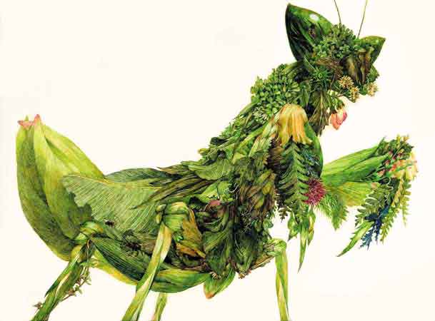 IKEDA, Manabu 'The Mantis of Grass'